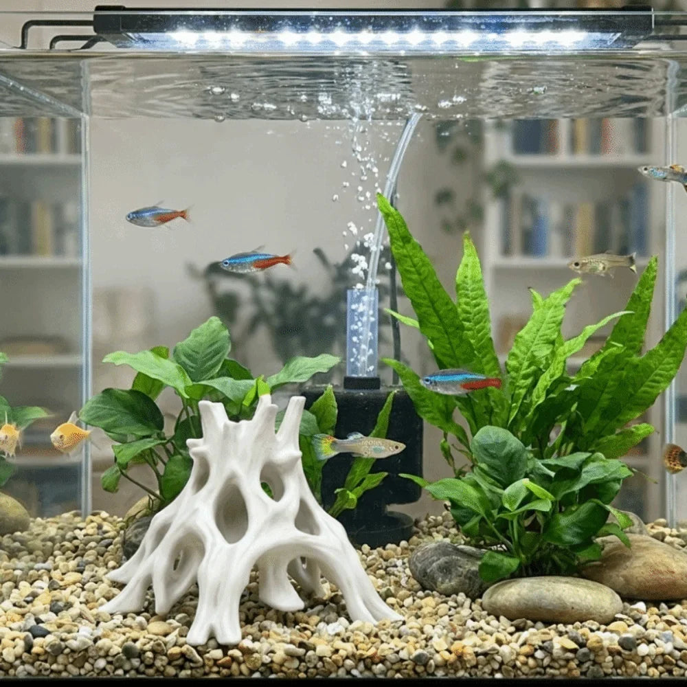 Tree Trunk Fish Shrimp Hiding Cave 3D - MyPetDollar.com