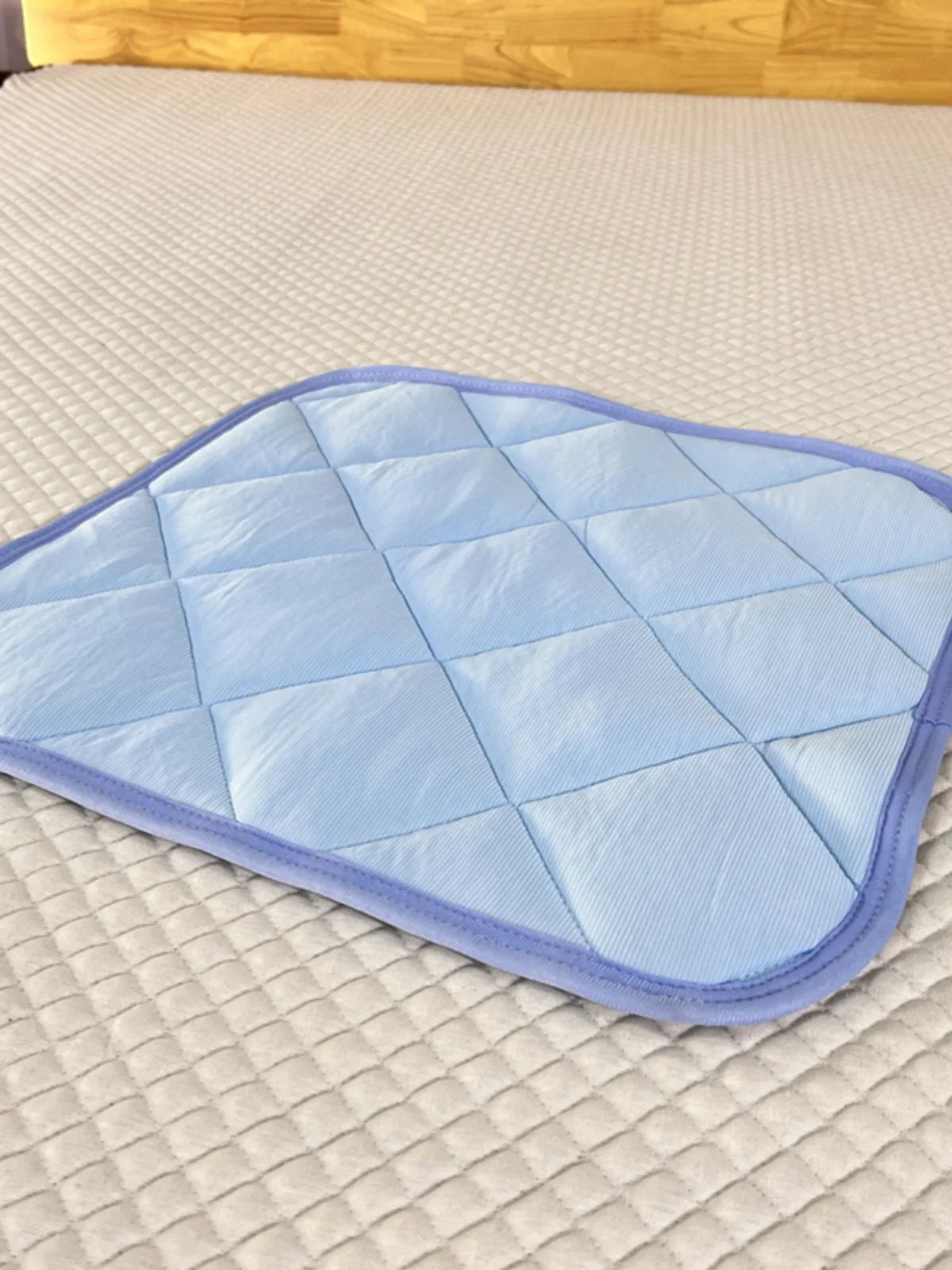 Non-Slip Pet Cool Mat Baby Crawler Pad - MyPetDollar.com