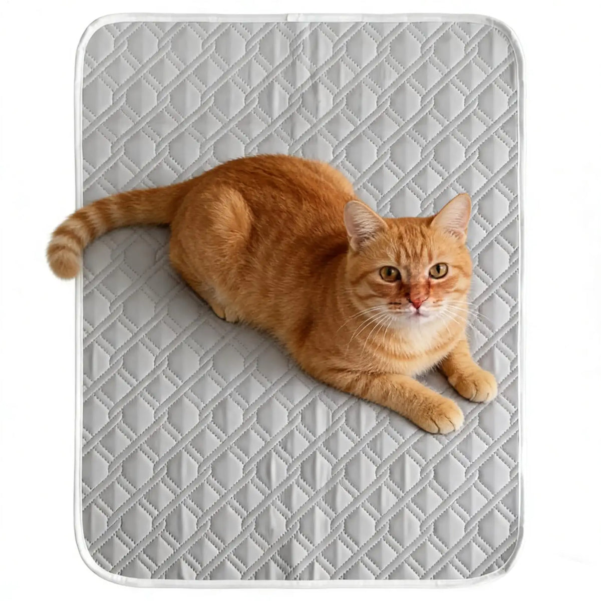 Dog Mat Cooling Summer Pad Mat For Dogs Cat - MyPetDollar.com