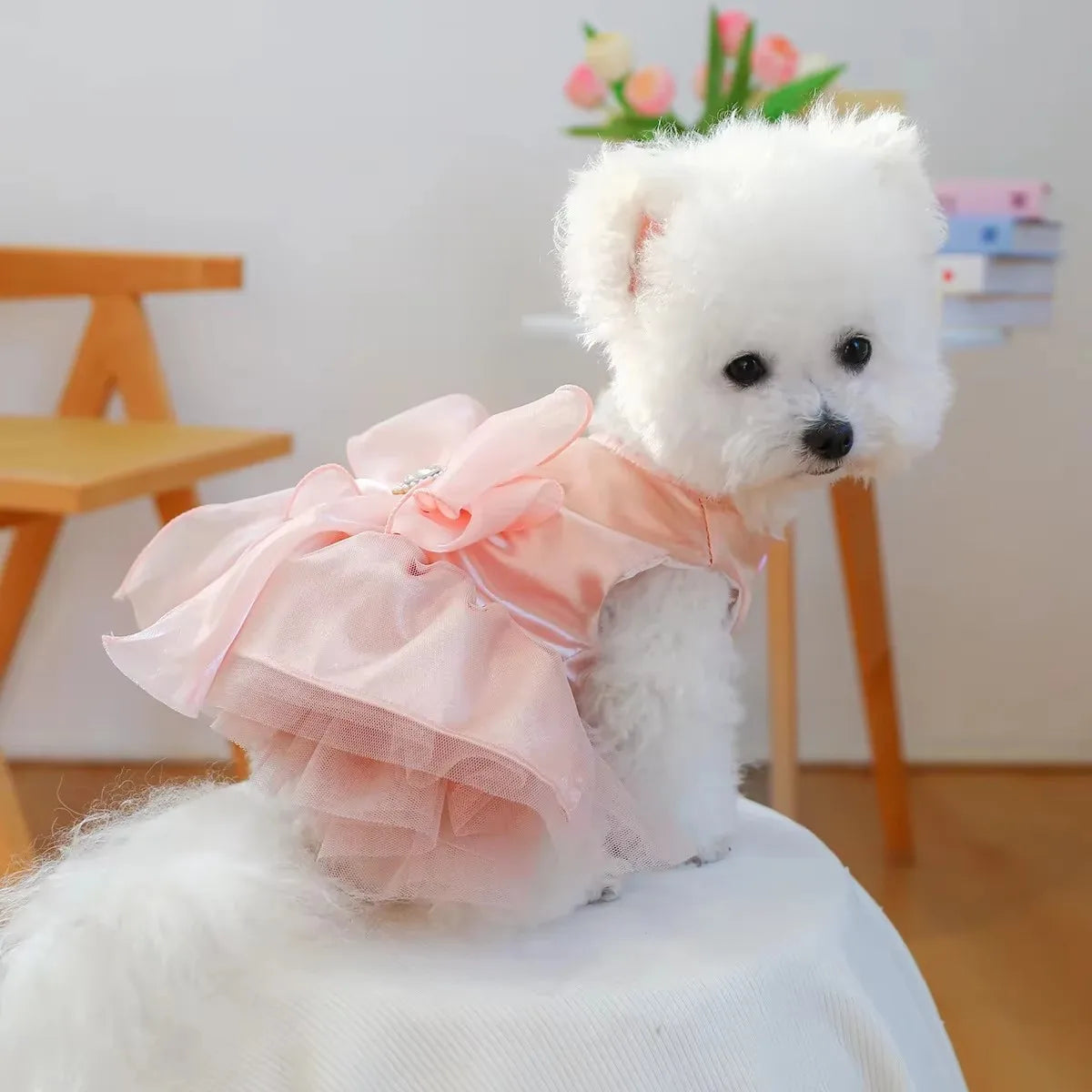 Elegant Black Lace Sling Pet Dog Dress Heart - MyPetDollar.com
