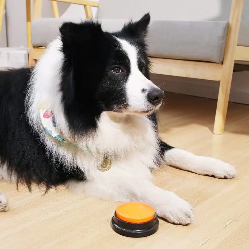 Dog Communication Buttons Voice Recording - MyPetDollar.com