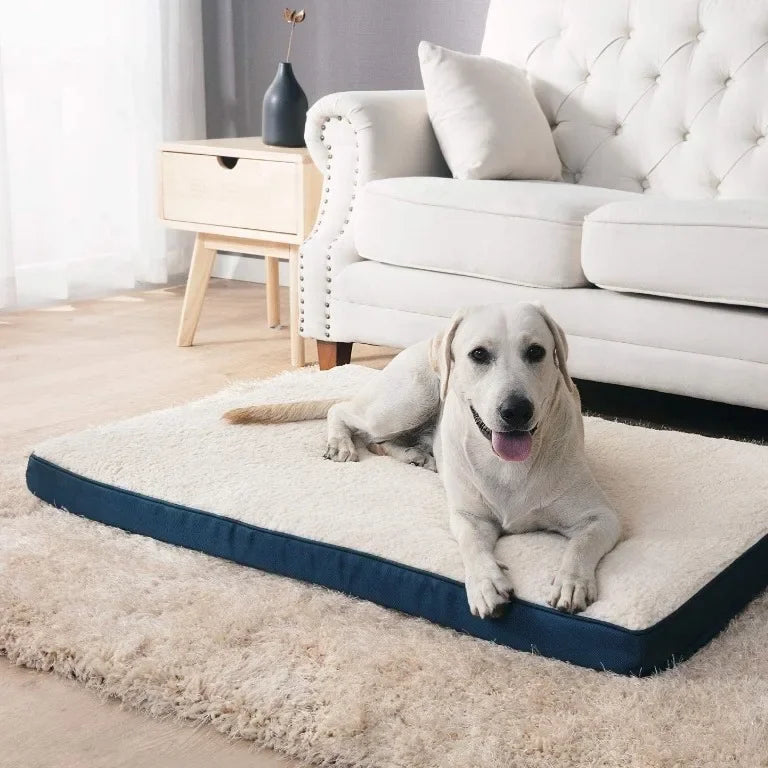 Washable Egg Memory Foam Pet Product Large - MyPetDollar.com