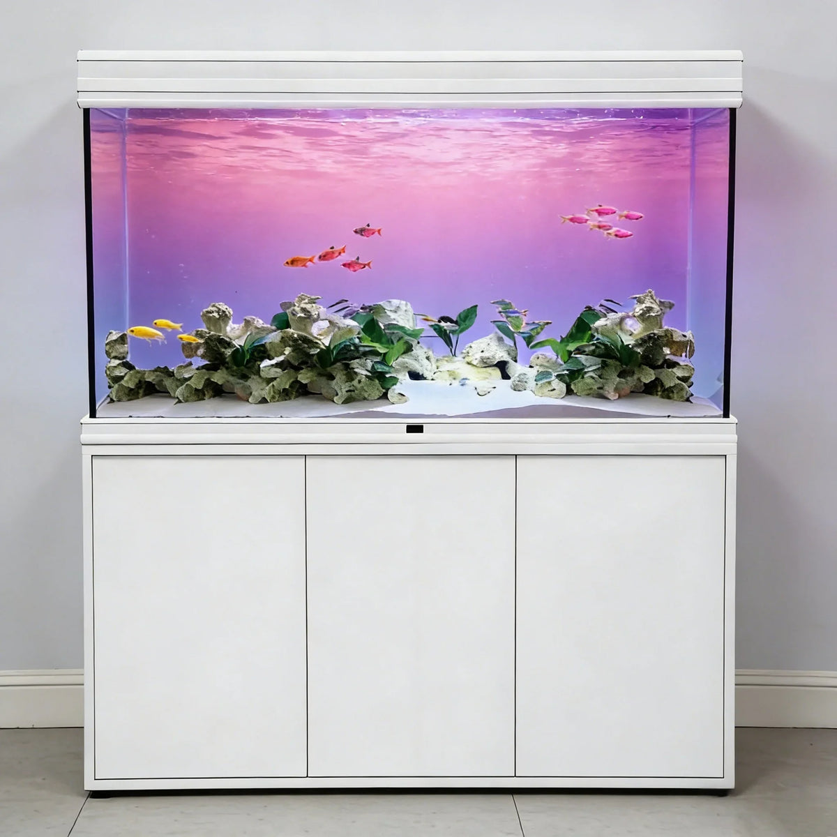 Pink Purple Gradient, Fish Tank Background - MyPetDollar.com
