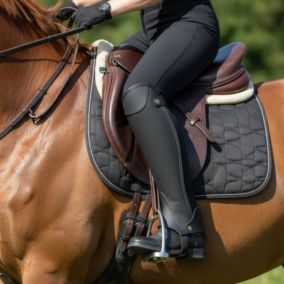 Horse Riding Leg Protector Competition - MyPetDollar.com