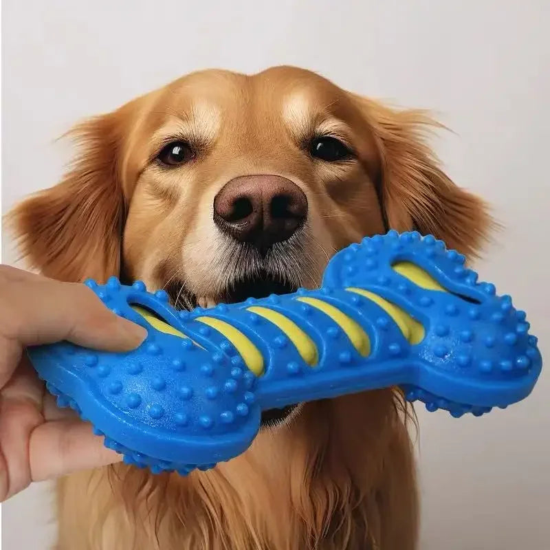 Dog Chew Toys Rubber Bone Bite Resistant Puppy Interactive – Dog Supplies