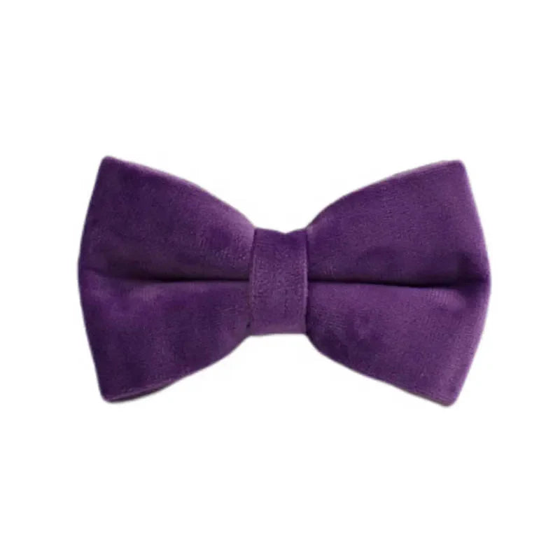 Purple Velvet Dog Collar And Leash Set For - MyPetDollar.com