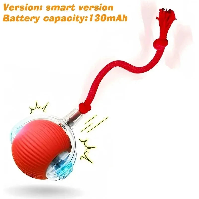 Rechargeable Dog Interactive Ball Toy Automatic Rolling Smart Pet Teaser