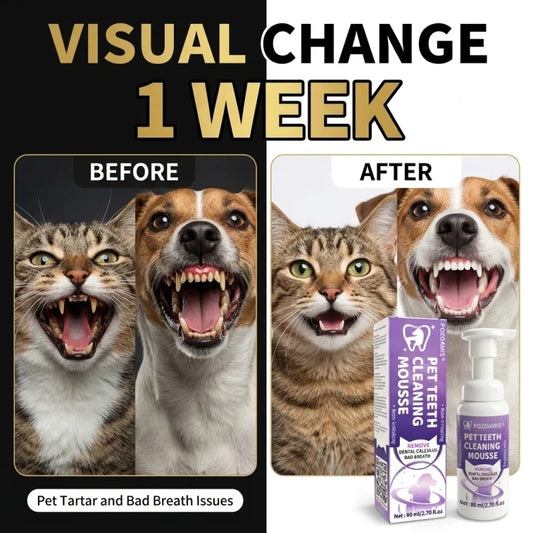 Swallow‑Safe Pet Tooth Mousse Foam For Dogs - MyPetDollar.com
