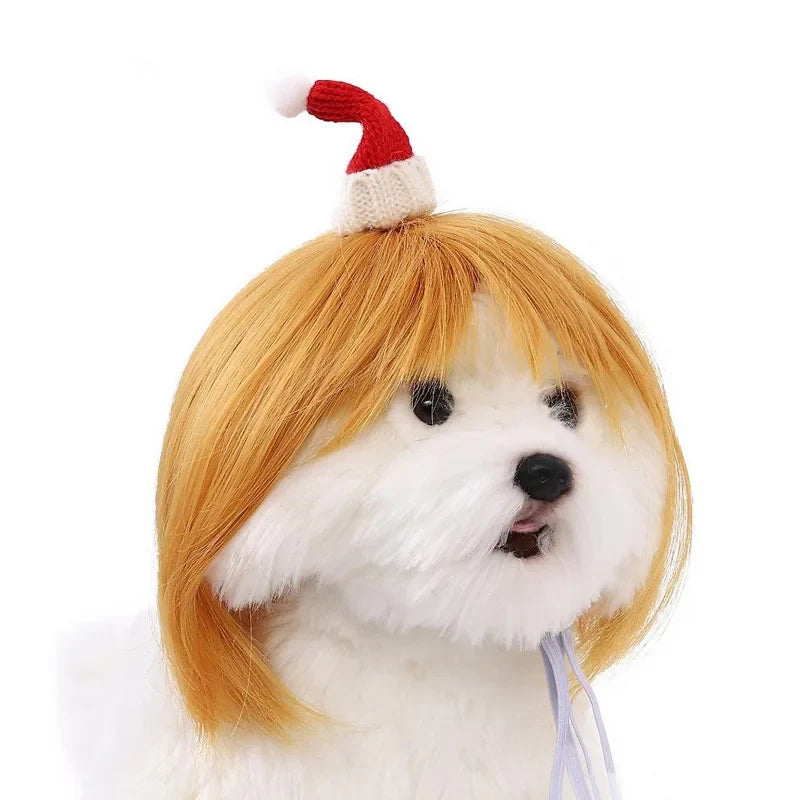 Pet Wig Dog And Cat Spoof Wig Pet Supplies - MyPetDollar.com