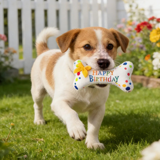 Pet Birthday Theme Stuffed Wear-resistant - MyPetDollar.com