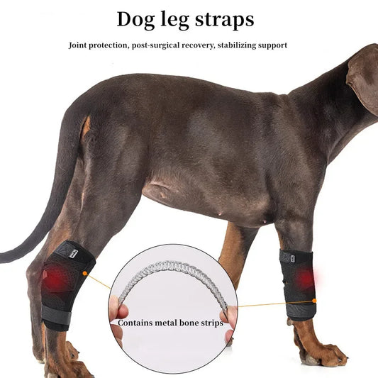 Updated Protects Bandage Dog Arthritis - MyPetDollar.com