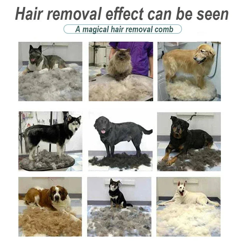 Pet Brush for Dogs Cats Dog Comb Pet Hair - MyPetDollar.com