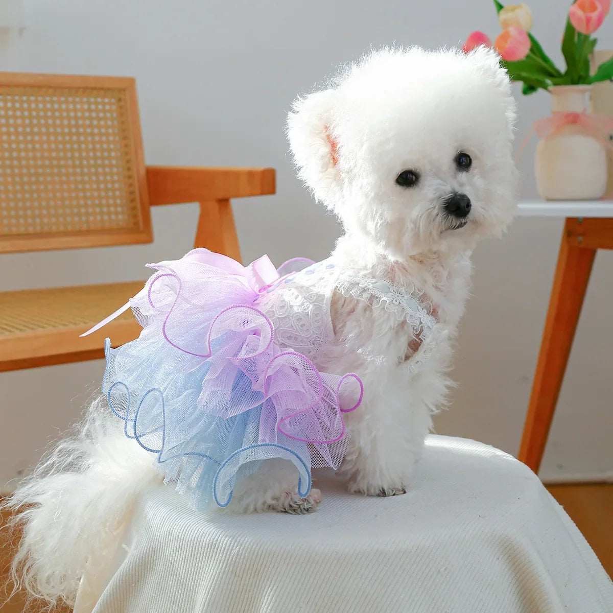 Elegant Black Lace Sling Pet Dog Dress Heart - MyPetDollar.com