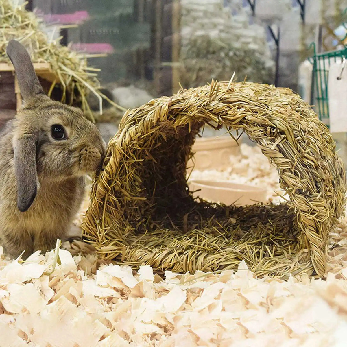 AB11-2X Grass House Tunnel Hutch Woven Hut - MyPetDollar.com