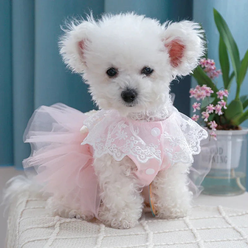 Summer Dog Dress Puppy Cat Pet Dresses Skirt - MyPetDollar.com