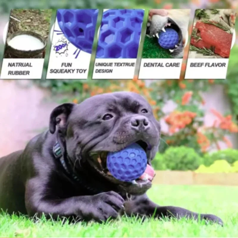 New Dog Toys Bite Resistant Interactive - MyPetDollar.com