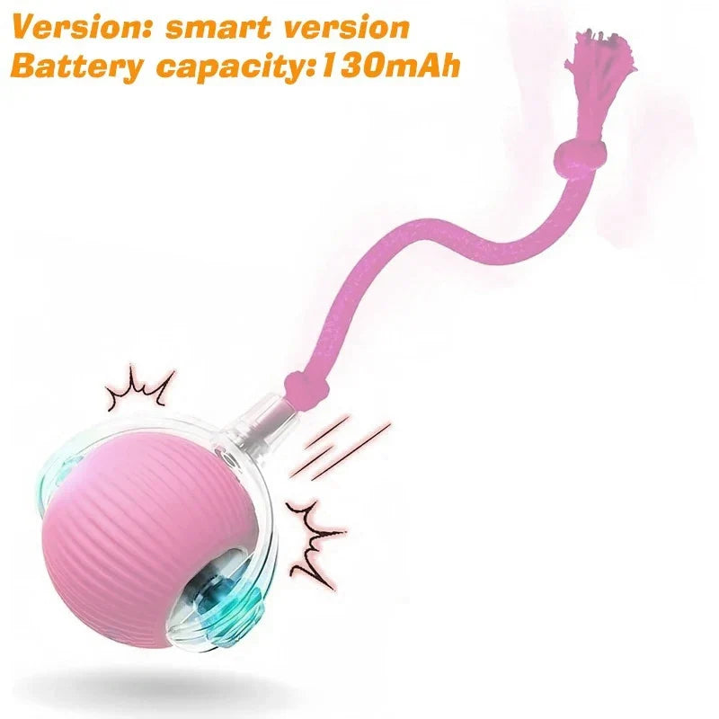 Rechargeable Dog Interactive Ball Toy Automatic Rolling Smart Pet Teaser