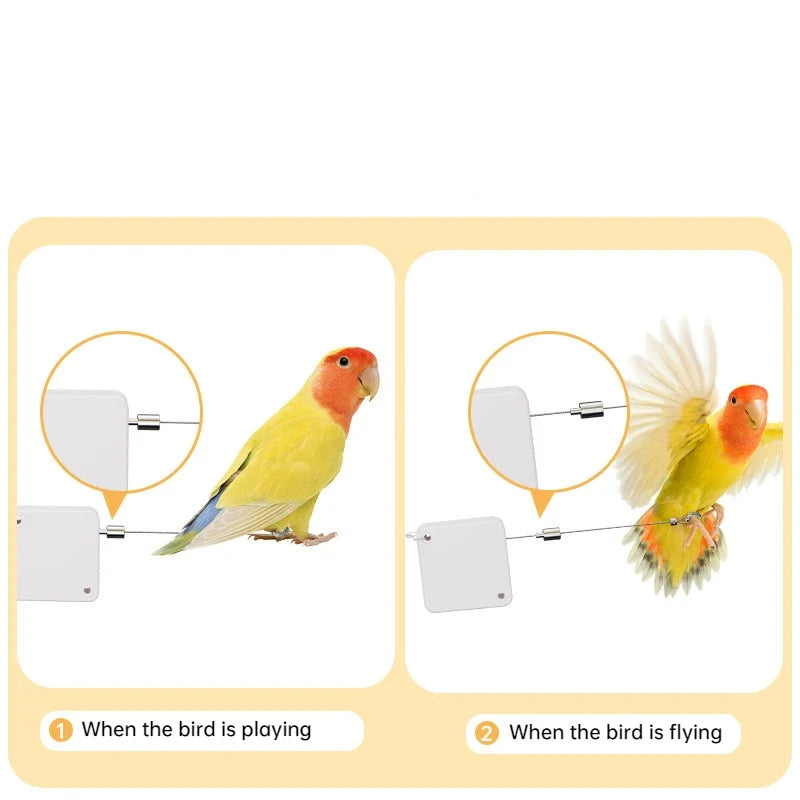 Cockatiel Harness And Leashes 2M Conures - MyPetDollar.com