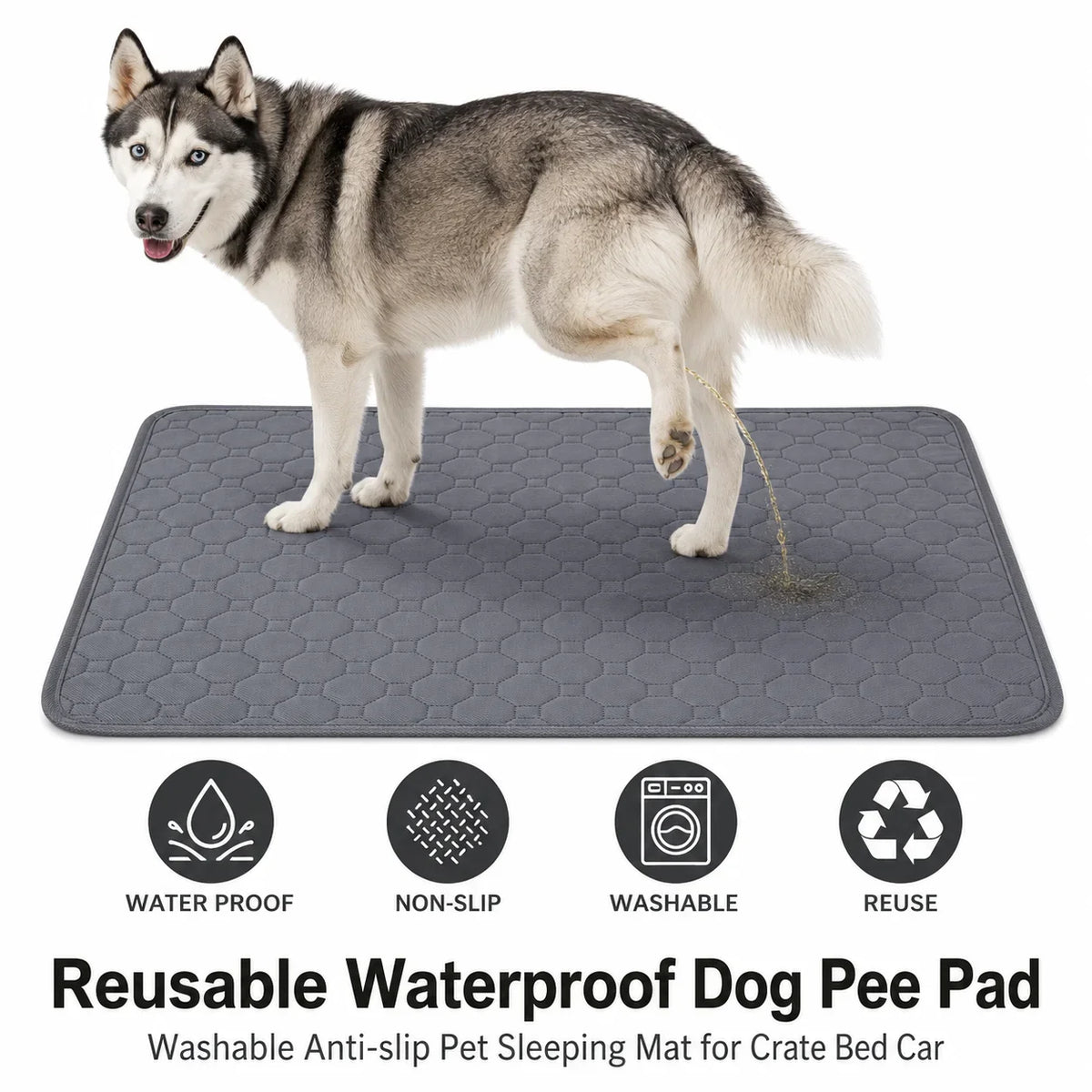 Reusable Washable Dog Pee Pad Waterproof - MyPetDollar.com