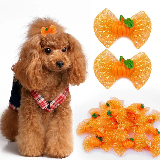 50pcs Fall/Autumn/Thanksgiving Pet Dogs Hair - MyPetDollar.com