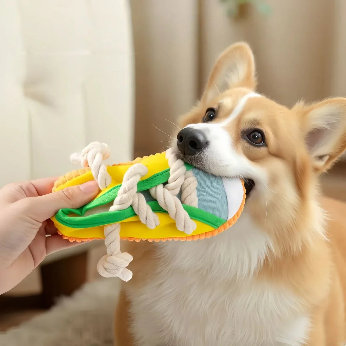 Dog Chewing Toy Squeaky Bite Resistant - MyPetDollar.com