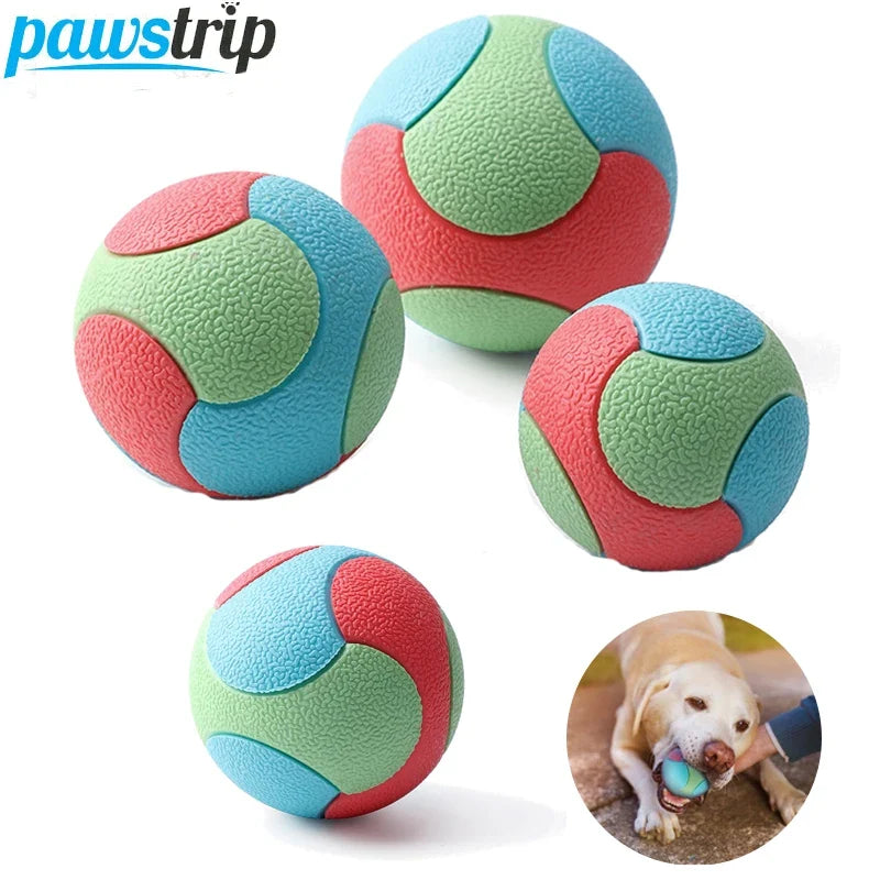 Pet Dog Toys Bite Resistant Bouncy Ball Toys - MyPetDollar.com