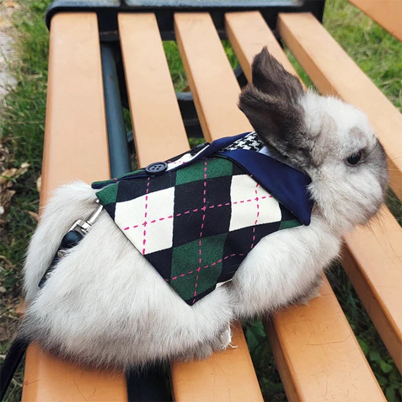 Preppy Style Pet Rabbit Harness and Leash - MyPetDollar.com