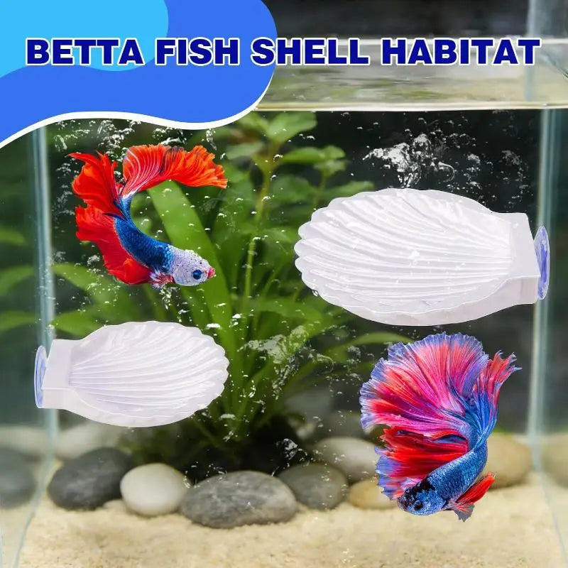 Betta Fish Shell Spawning Rest Platform With - MyPetDollar.com