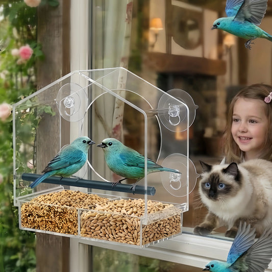 Window Bird Feeder with Strong Suction Cups - MyPetDollar.com
