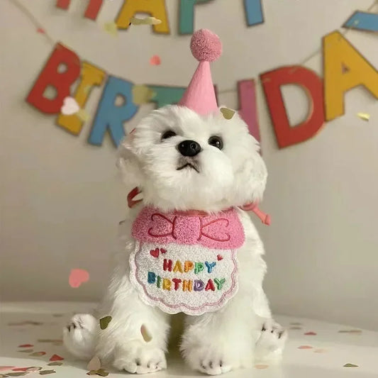 Cat Birthday Scarf Hat Set Dog Birthday - MyPetDollar.com