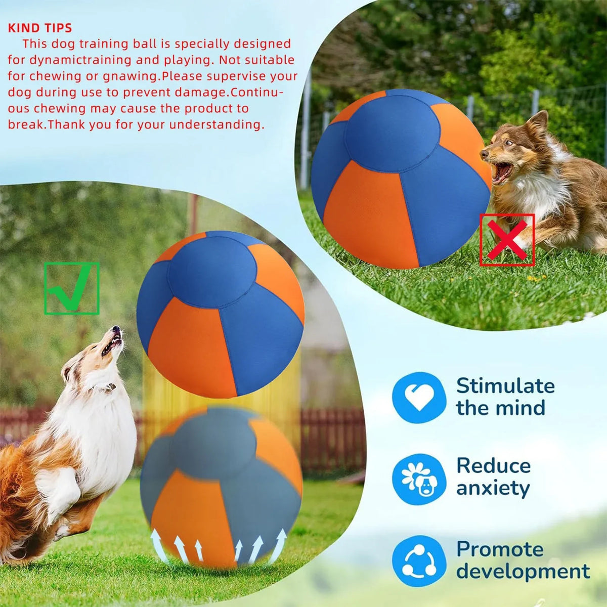 Herding Ball for Dogs with Protective Cover - MyPetDollar.com