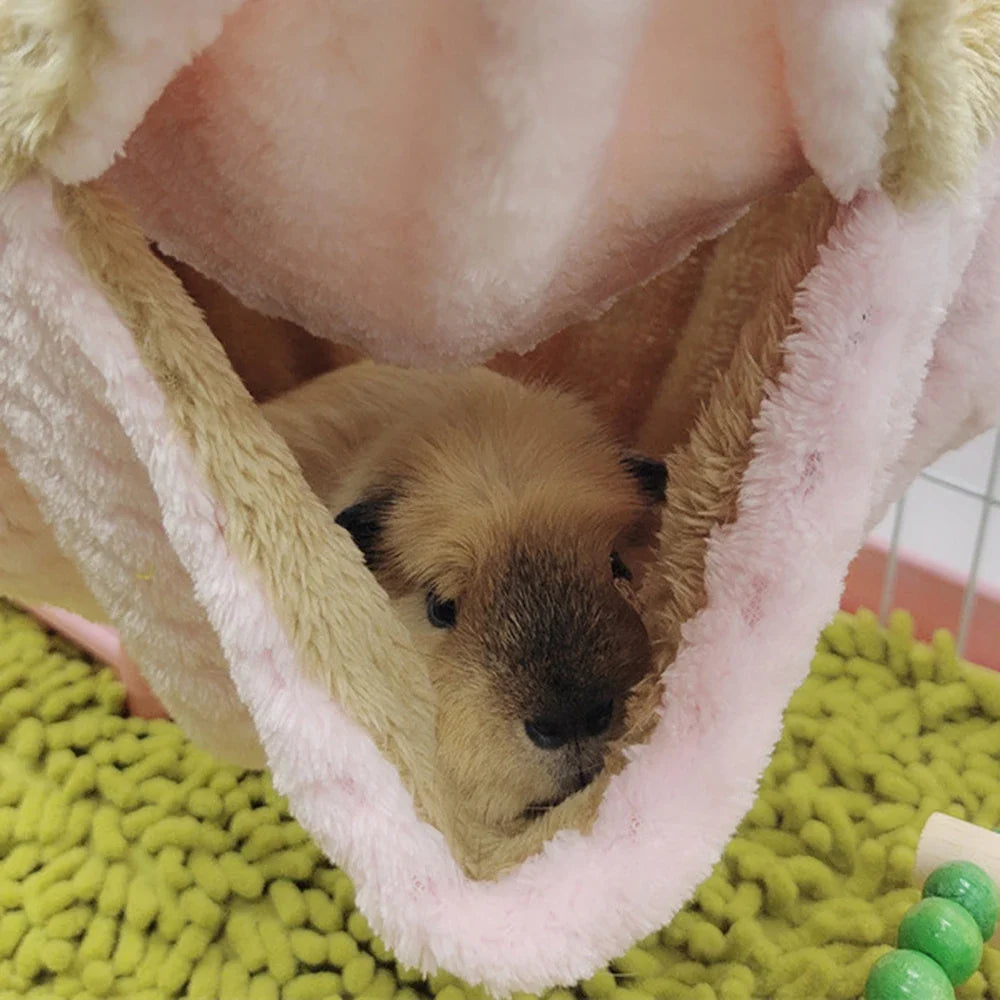 Honey Glider Double Pile Hammock Guinea Pig - MyPetDollar.com