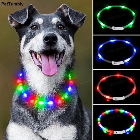 4 Modes Dog Luminou Charge Collar Led Usb - MyPetDollar.com