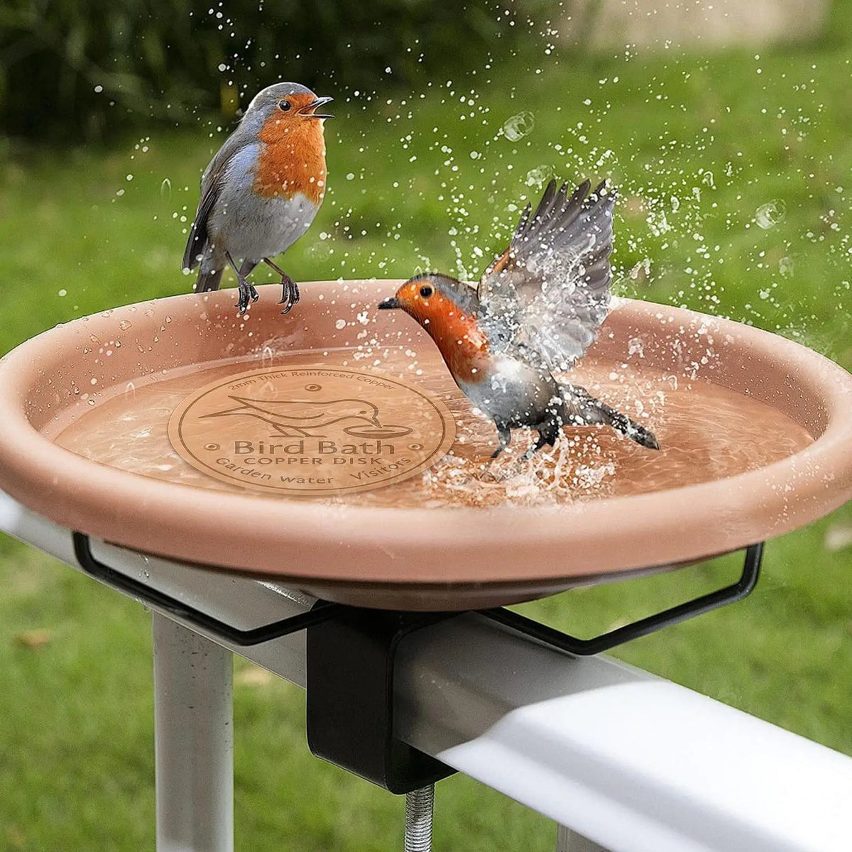 Pure Copper Bird Bath Purification Disc, - MyPetDollar.com