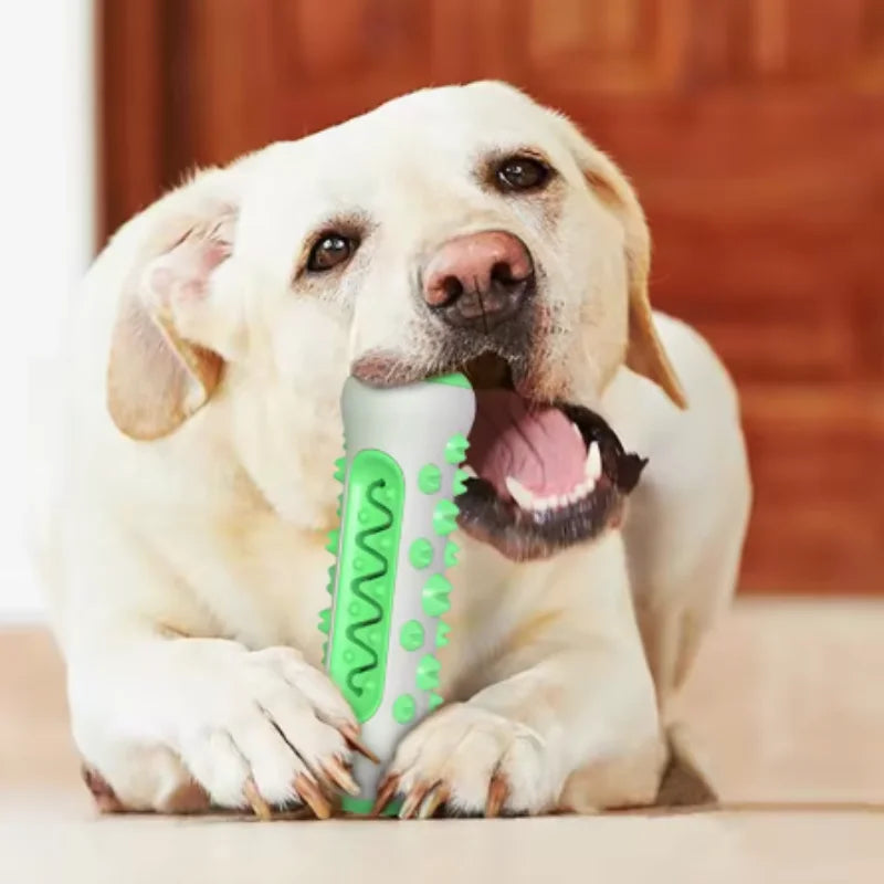Safe Puppy Dental Care Dog Molar Toothbrush - MyPetDollar.com