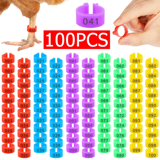 100pcs Chicken Leg Ring Colorful Plastic - MyPetDollar.com