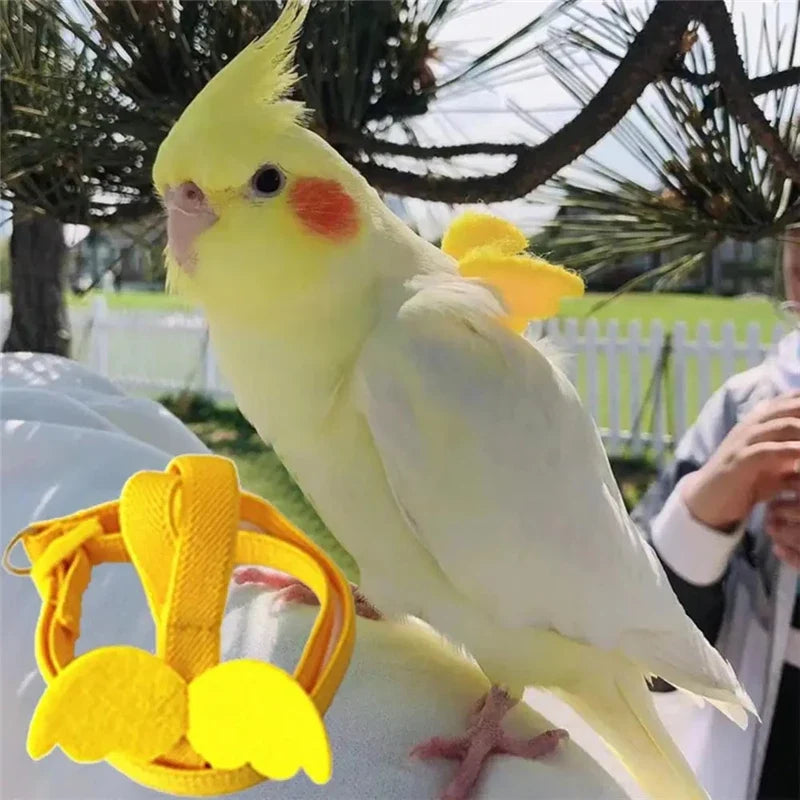 Adjustable Parrot Bird Harness Leash Set - MyPetDollar.com
