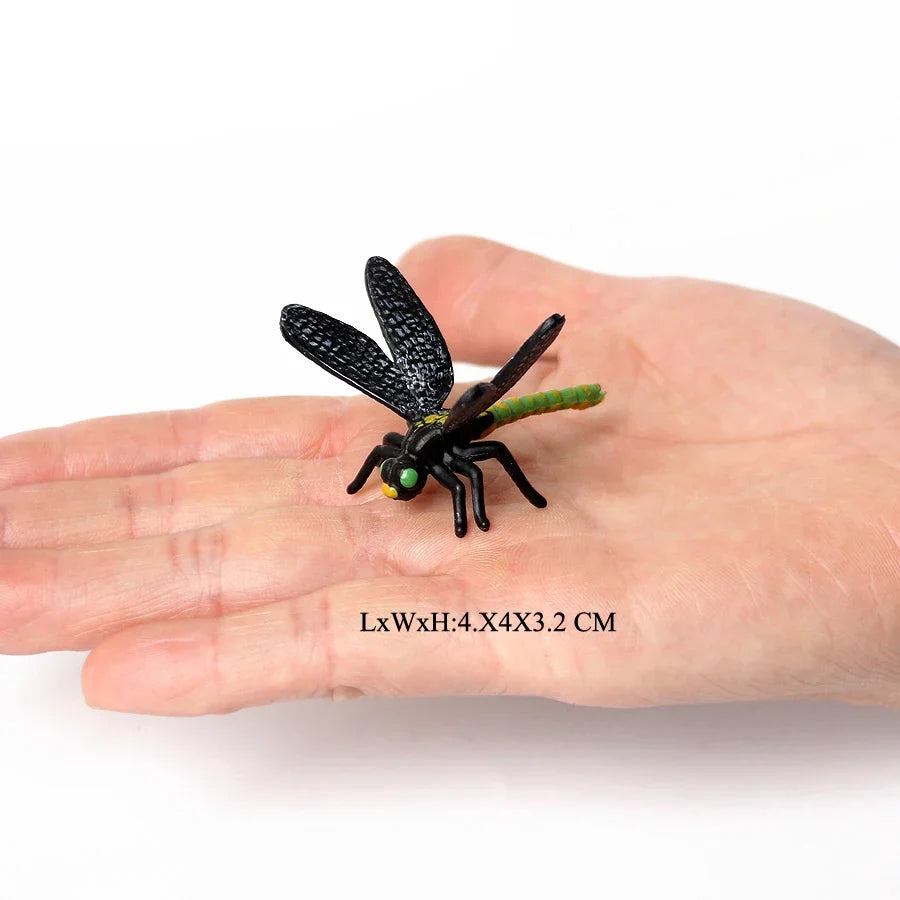 Realistic Insect Grasshopper Mosquito Cicad - MyPetDollar.com