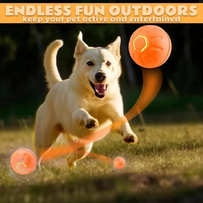 Pet toys Gravity Electric Amusement Pet Ball - MyPetDollar.com