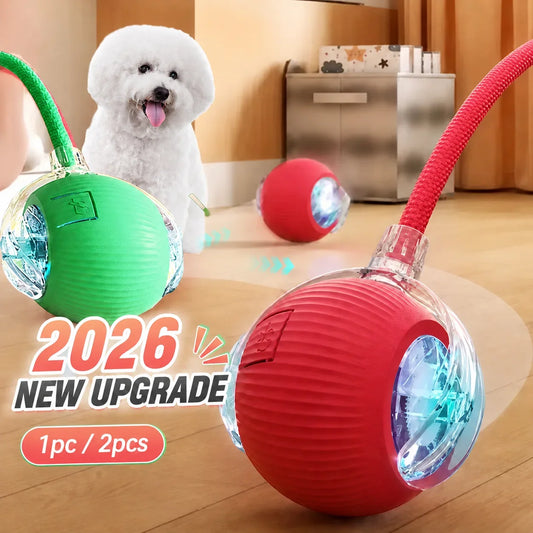 New Dog Interactive Ball Toy,Automatic - MyPetDollar.com