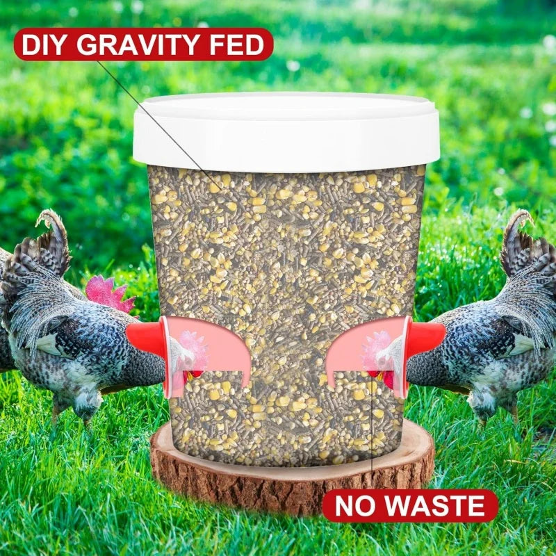 Chicken Feeder DIY Rainproof Poultry Feeder - MyPetDollar.com