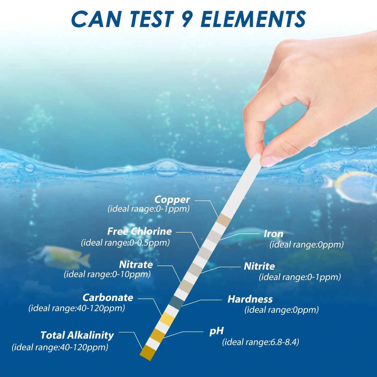 100Pcs Aquarium Test Strips Water Quality - MyPetDollar.com