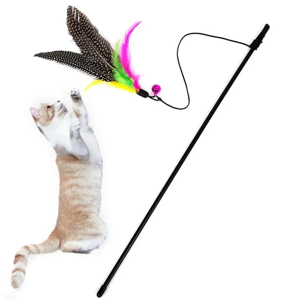 Funny Kitten Cat Teaser Interactive Toy Rod - MyPetDollar.com