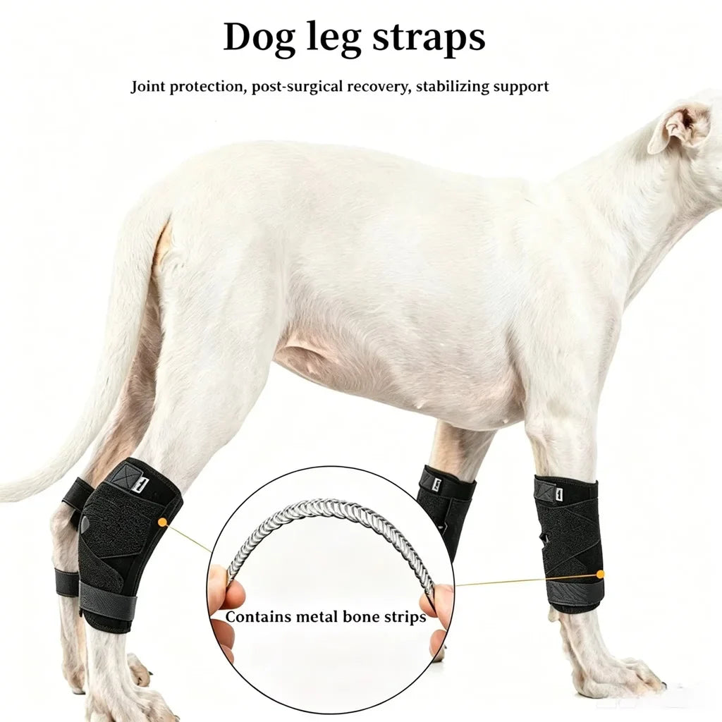 Dog Arthritis Protector Cover Dog Leg - MyPetDollar.com