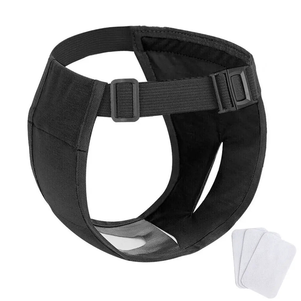 With 3 Cotton Pads Female Dog Panties Easy - MyPetDollar.com
