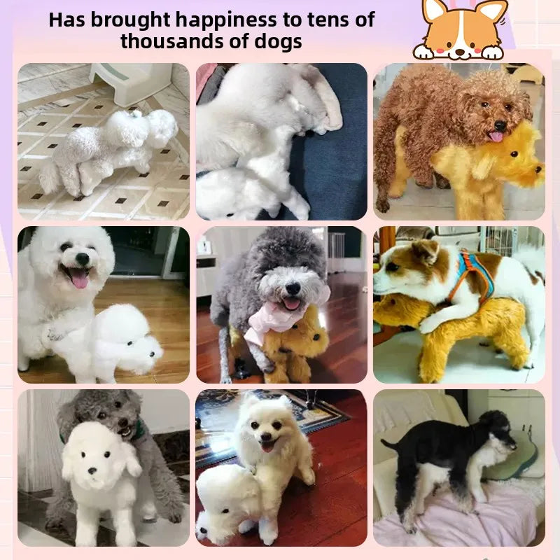 Soft Plush Riding Toy Relieve Small Male Dog - MyPetDollar.com
