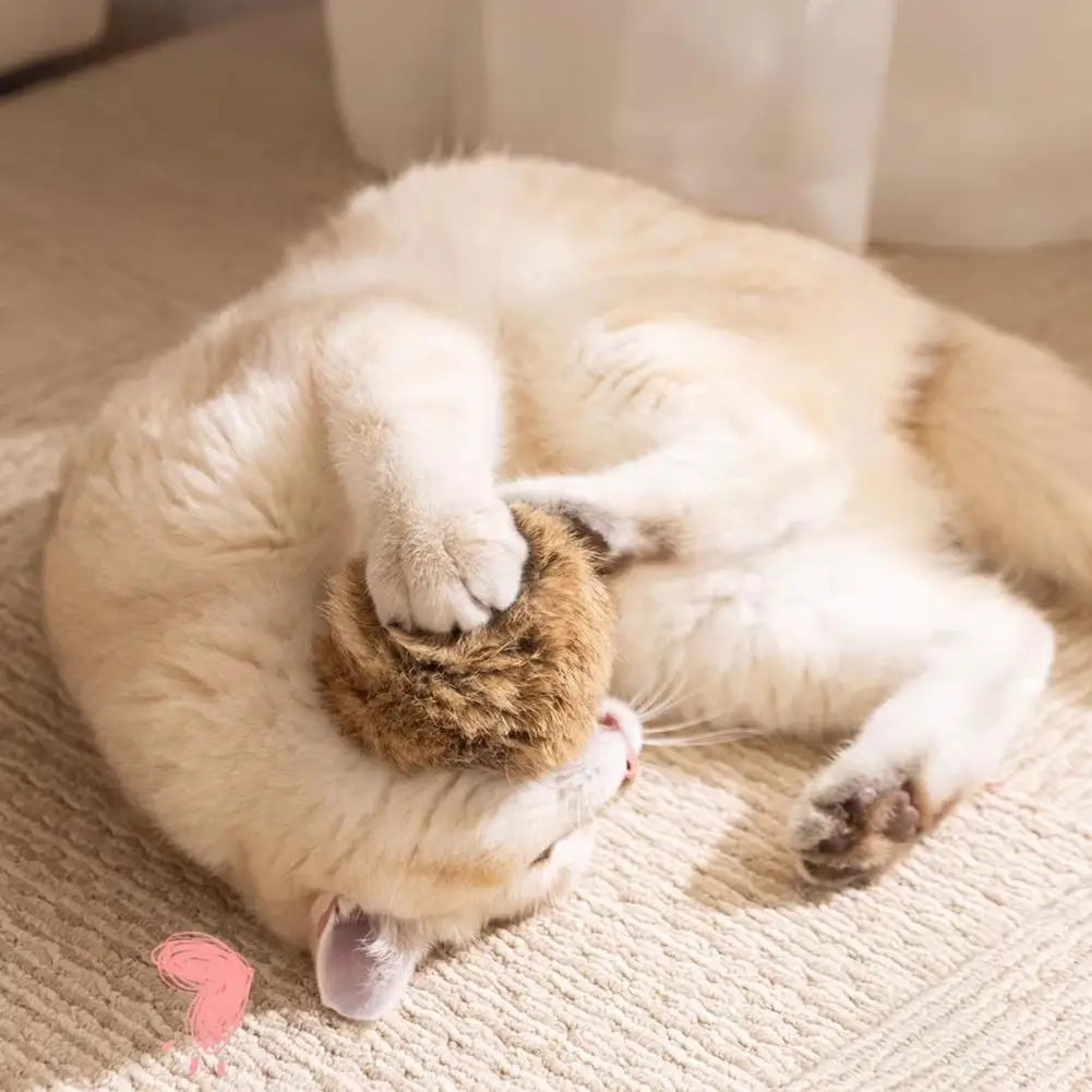 Cat Toy Ball Bunny Kick Cat Toy Furry Ball - MyPetDollar.com