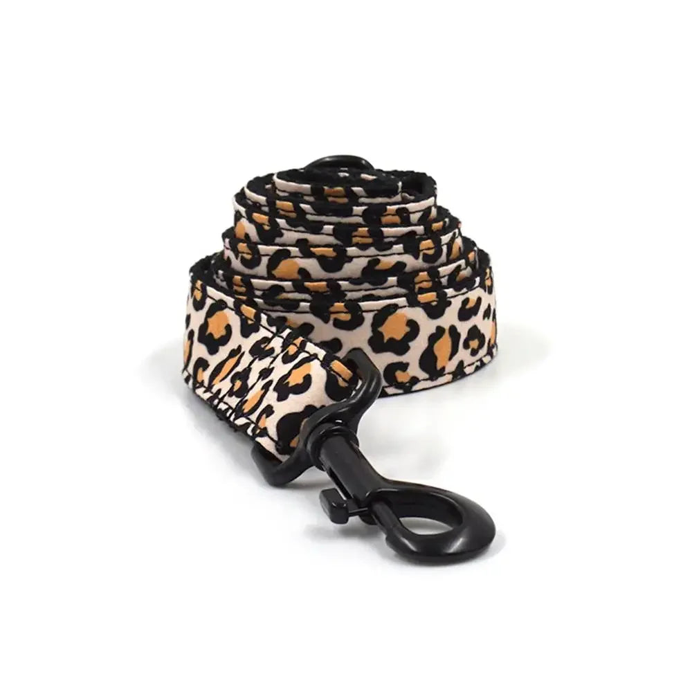 Personalized Dog Collar Custom Puppy - MyPetDollar.com