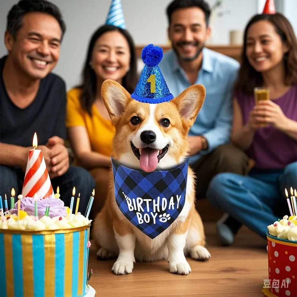 Pets Dog Happy Birthday Decoration Dog - MyPetDollar.com