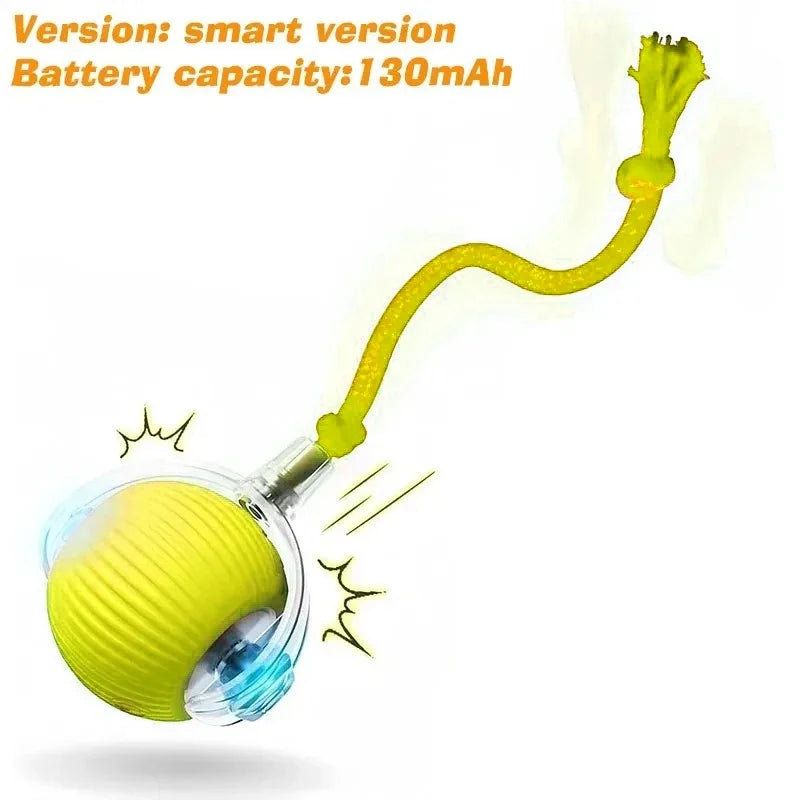 Dog Interactive Ball Toy Automatic Rolling - MyPetDollar.com